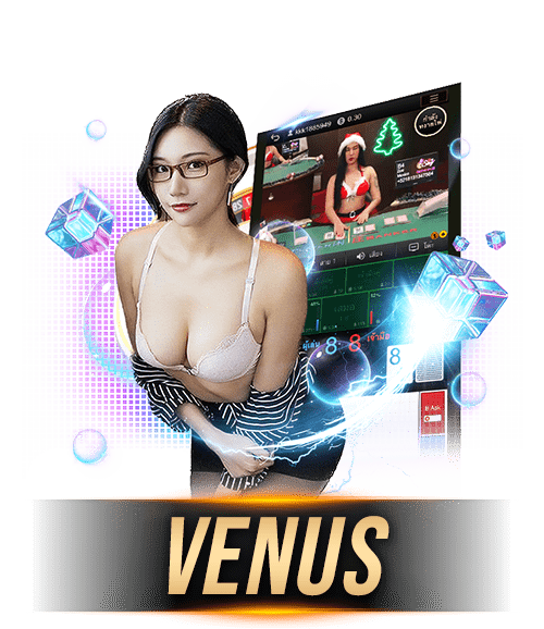 บาคาร่า venus